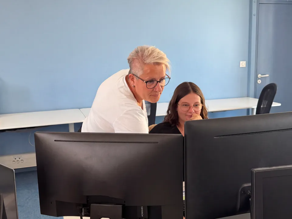 Développement des compétences et employabilité